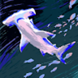 Meet your Posher, Ella